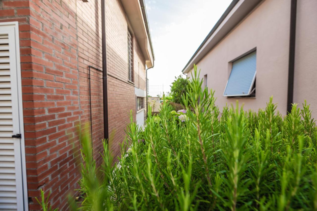 Casa Summer Cecina  Exterior photo